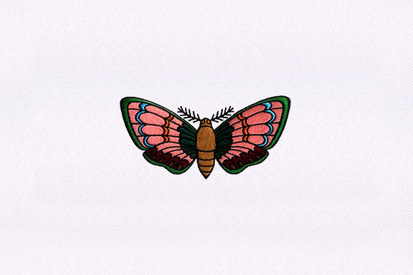 Detailed Moth Design Review